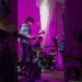 Las huilotas purpúreo/ Realeza en vivo