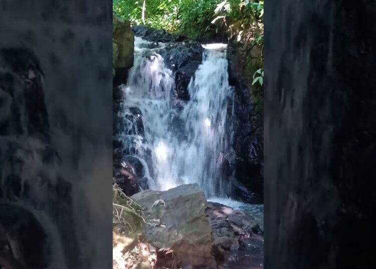gruta de nossa senhora de Fátima na cidade de Realeza PR
