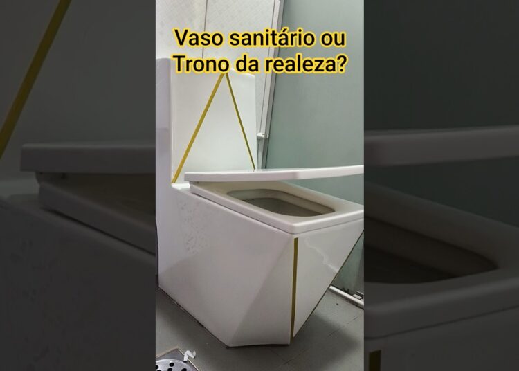 Encontrei um Vaso Sanitário que mais parece um Trono da realeza! #vasosanitario #reforma #casa