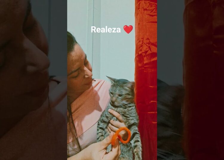 realeza #shorts #donadecasa #humor #youtubecreator #engraçado