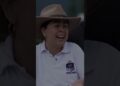 Colombia exportó un caballo de élite a la realeza de Catar – Los Informantes