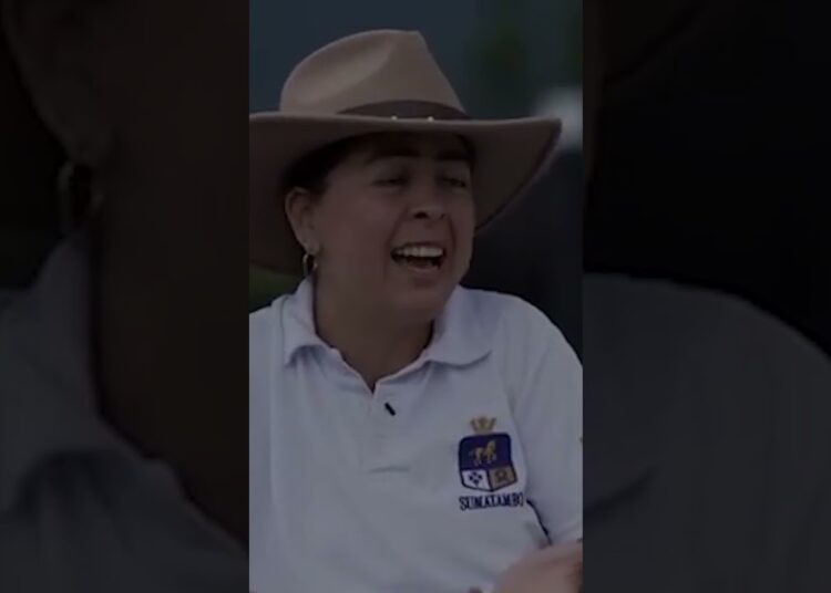 Colombia exportó un caballo de élite a la realeza de Catar – Los Informantes