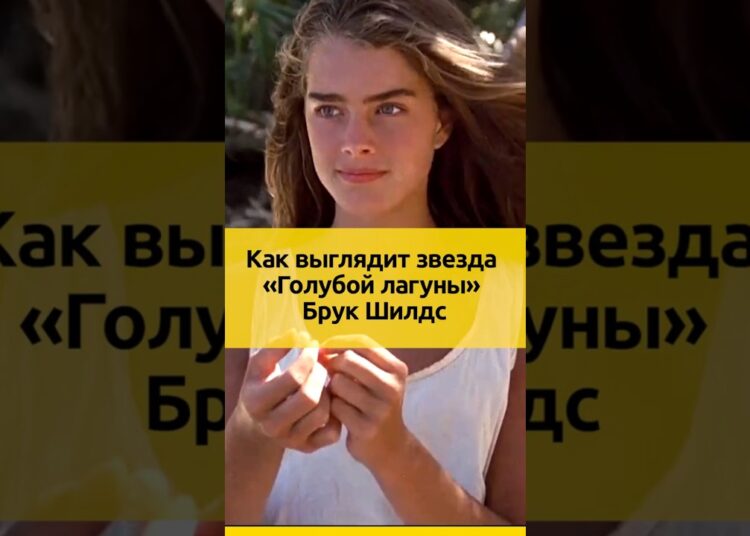 Как Брук Шилдс выглядит в свои 60 лет | МУЖ и ДОЧЕРИ знаменитой актрисы.