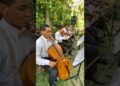 Marcha Nupcial + Bondade de Deus | Orquestra Realeza Musical | Músicos Para Casamento