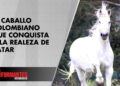 Pay Per View, el caballo colombiano que llegó a la realeza de Catar: ¿Cómo fue? – Los Informantes