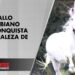 Pay Per View, el caballo colombiano que llegó a la realeza de Catar: ¿Cómo fue? – Los Informantes