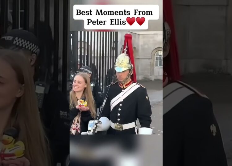 MEMORIES OF PETER ELLIS#kingsguard #royalguard #shorts #buckinghampalace #respect #realeza #military