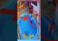 Pai quase m1rr1 após b1tid1 na piscina