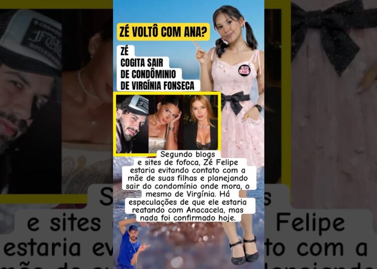 ZÉ VOLTOU COM ANA CASTELA? #feedshorts #ultimasnoticia #fofoca