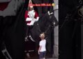 HORSE LOVES KIDS#royalguard #kingsguard #realeza #shorts #horselove #respect #kids #buckinghampalace