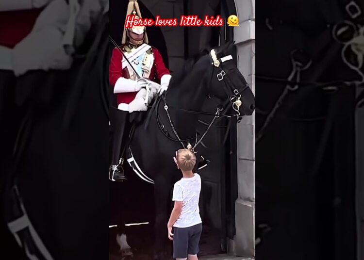 HORSE LOVES KIDS#royalguard #kingsguard #realeza #shorts #horselove #respect #kids #buckinghampalace