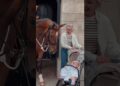 HORSE LOVES LITTLE KIDS🫠#kingsguard #horselove #kids #shorts #realeza #buckinghampalace #royalguard