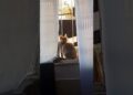tomando conta da vida dos vizinhos #cat #orelhadegato #fofoqueiros #gateiraporamor #fofocas #gatos