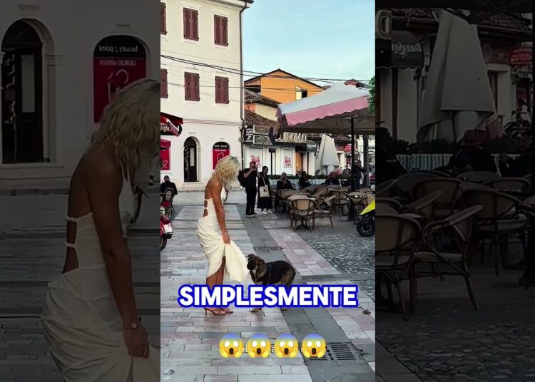 CARLA PEREZ CONQUISTA ADMIRADOR DE QUATRO PATAS! #fofoca #celebridades #famosos