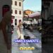CARLA PEREZ CONQUISTA ADMIRADOR DE QUATRO PATAS! #fofoca #celebridades #famosos
