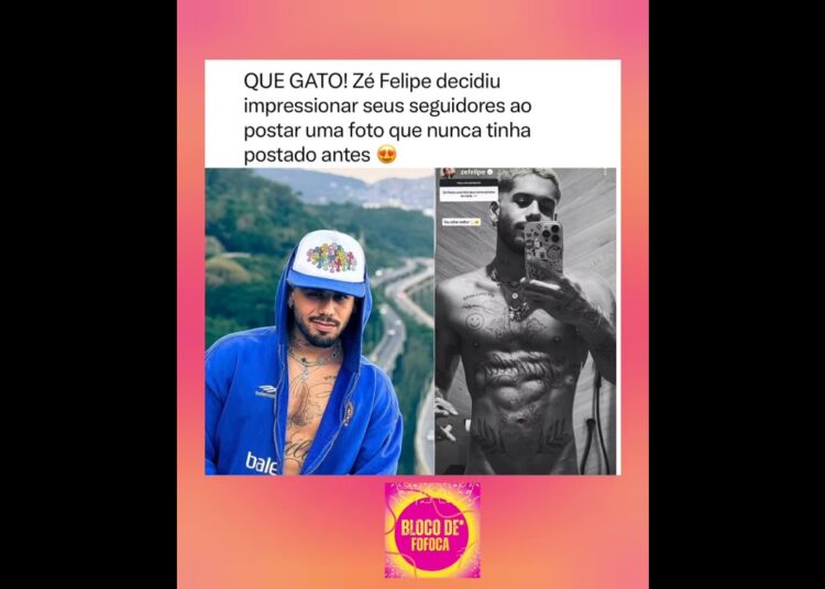 Que gato😮‍💨❤️#zefelipe #fofocas