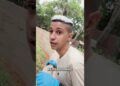 Leões: Conheça a Feroz Realeza da Savana de Perto! #shorts