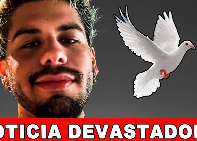 Aos 27 anos, Zé Felipe rompe o silêncio e choca a todo brasil