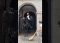 BEWARE HORSE MAY KICK OR BITE#horseguards #realeza #buckinghampalace #kingsguard #shorts #tourist