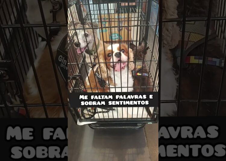 Quando a realeza e a plebe estão juntas