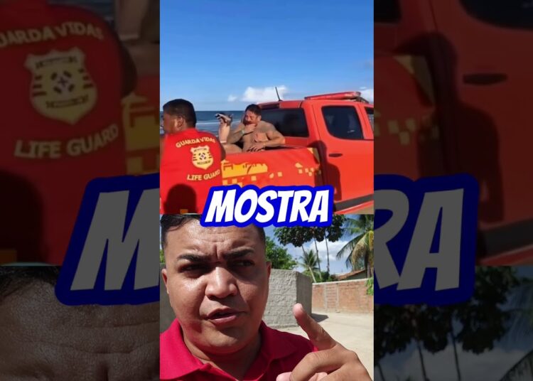 notícias e fofocas dos famosos hoje #fofocas #noticias #ultimasnoticia