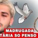 ULTIMA HORA TRISTE NOTICIA ZE FILIPE FEZ DENOVO