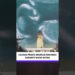 LUANA PRADO ANUCIA GRAVIDEZ SHOW  #leodias #fofoca #fofocas #shots #shotsviral #shotsvideo