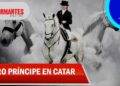 Pay Per View: el caballo colombiano que conquista a la realeza de Catar – Los Informantes