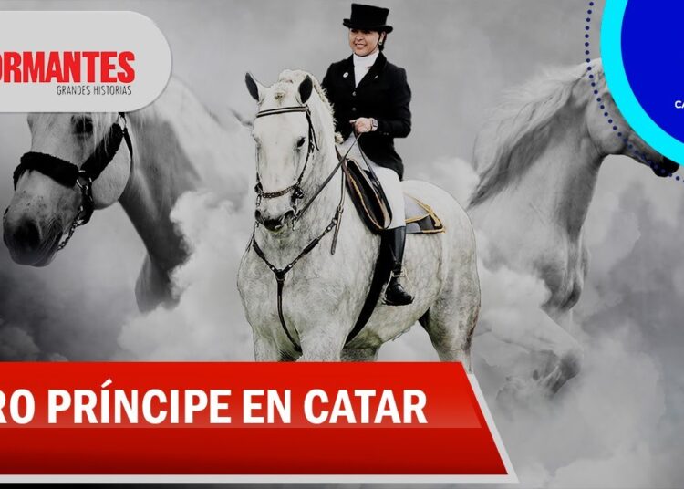 Pay Per View: el caballo colombiano que conquista a la realeza de Catar – Los Informantes