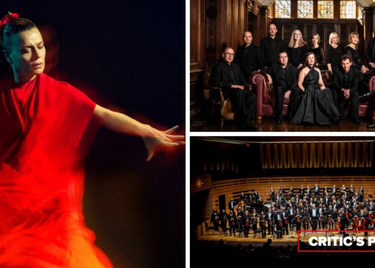 ESCOLHAS DA CRÍTICA | Eventos de música clássica que você absolutamente precisa ver esta semana: 26 de janeiro a 1º de fevereiro