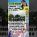 OLÁ OQUE O NIKOLAS FEZ #feedshorts #ultimasnoticia #fofoca