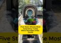 Five Stars Whose Most Surprising Truths Were Revealed After Death #hollywood #celebrity #ytshorts