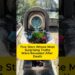 Five Stars Whose Most Surprising Truths Were Revealed After Death #hollywood #celebrity #ytshorts