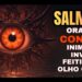 SALMO DE GUERRA PODEROSO: CONTRA BRUXARIA, INIMIGOS, INVEJA, FOFOCAS e FALSIDADES – SALMO 2