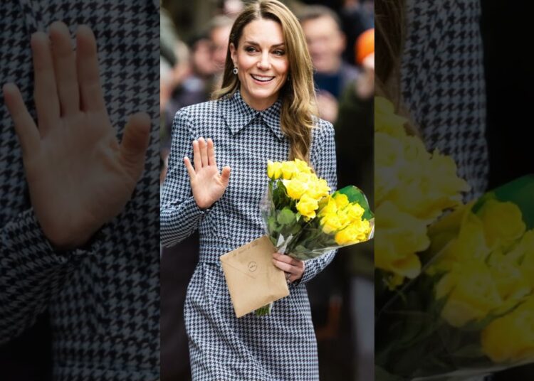 “O truque secreto de Kate que redefine o outono de 2025” #shortsfeed #news #shorts #noticias