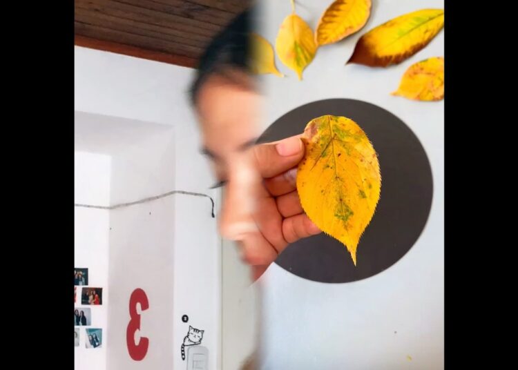 Pov: descubres que perteneces a la realeza y no te agrada para nada hasta que ves a Noah//