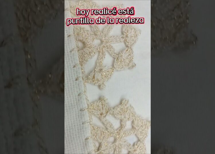 puntilla de la realeza #puntillasfáciles #tejedoras #crochet #hechoamano #tutorial #manualidades