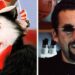18 atores que reviveram suas carreiras vs. 14 Quem nunca mais voltou