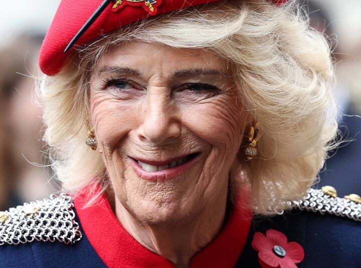 A Família Real lança vídeo emocionante de conversa íntima com a Rainha Camilla