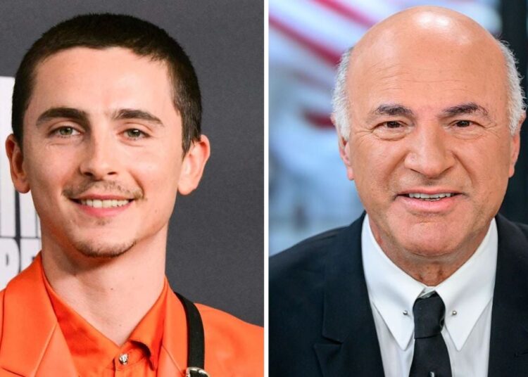 A jornada de fama de Timothée Chalamet recebe uma opinião sincera do co-ator de 'Marty Supreme'