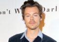 A voz enigmática de Harry Styles alimenta novas especulações musicais