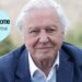 Adora Sir David Attenborough? Teste-se sobre sua incrível vida e carreira