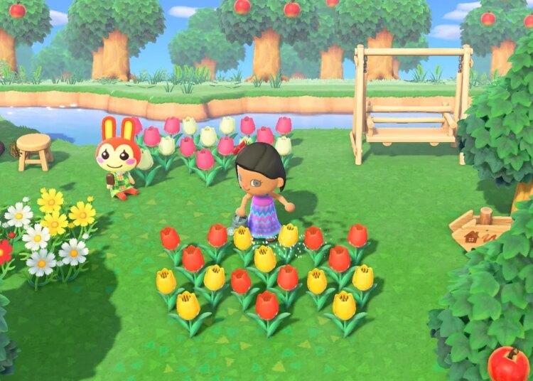 Animal Crossing Aquarium Tour chega à Flórida. Veja datas, atividades