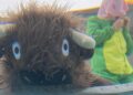 Banda de Nova Orleans Pig Lizzard lança álbum 'Buf'lo' | Música | Gambito Semanal