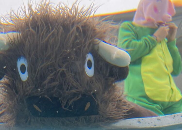 Banda de Nova Orleans Pig Lizzard lança álbum 'Buf'lo' | Música | Gambito Semanal