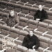 Bernard Butler, Norman Blake e James Grant anunciam novo álbum ‘Murmurs’