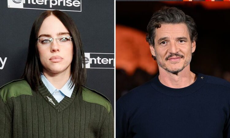 Celebridades como Pedro Pascal e Billie Eilish começam a condenar tiroteios mortais em Minneapolis em meio ao aumento do ICE