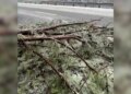 Celebridades de Nashville se agacham durante a tempestade de inverno no TN