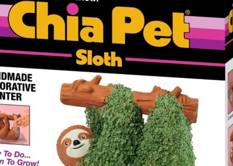 Chia Pet Movie, programa de TV planejado com novo acordo de mídia