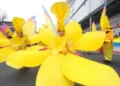 Desfile de Ano Novo traz cor à capital